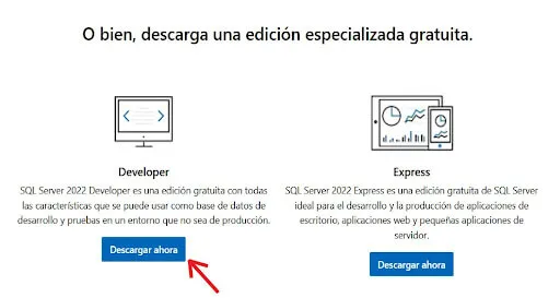 opciones de sql server